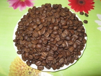 width=1024&height=768