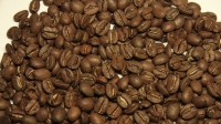 width=1024&height=576
