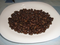 width=1024&height=768