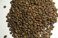 width=1024&height=683