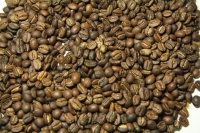 width=1024&height=683