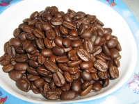 width=1024&height=768