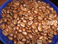 width=1024&height=768