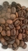 width=1024&height=1823