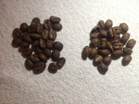 width=1024&height=768