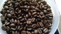 width=1024&height=576