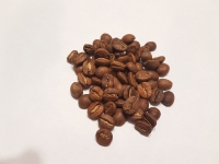 width=1024&height=768