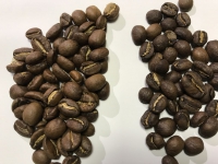 width=1024&height=768