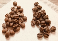 width=1024&height=721