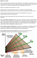 width=1024&height=1582