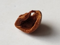 width=1024&height=763