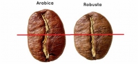 width=734&height=345