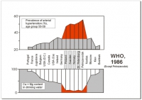 width=512&height=363