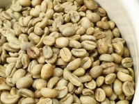 width=1024&height=768