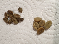 width=1024&height=768