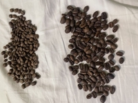 width=1024&height=768